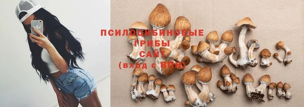 соль ск Новокубанск