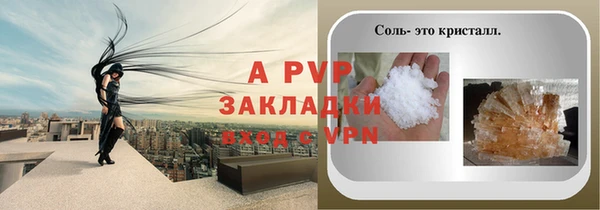 молекула духа Новодвинск