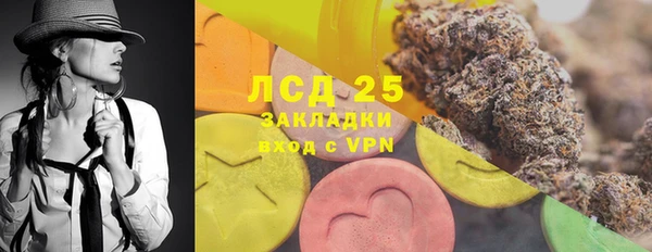 молекула духа Новодвинск
