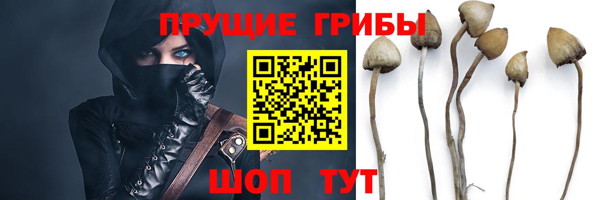 Галлюциногенные грибы мухоморы  Псилоцибиновые грибы GOLDEN TEACHER  Белореченск 