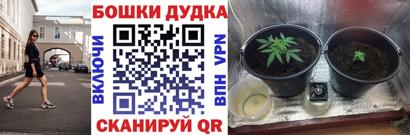 Марихуана White Widow OMG Белореченск закладка